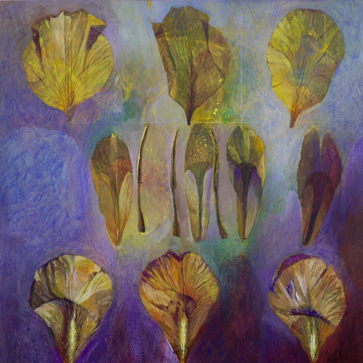 Irisblüte2019 Acryl Canvas 60x60cm