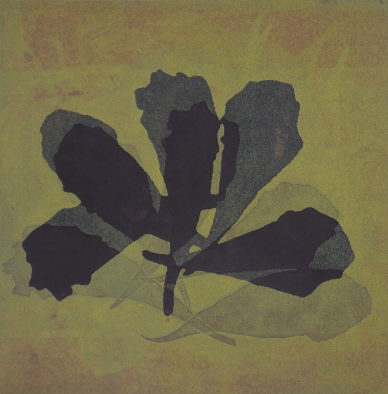 Solandra maxima serie14 2020 schablonendruck 29x29cm