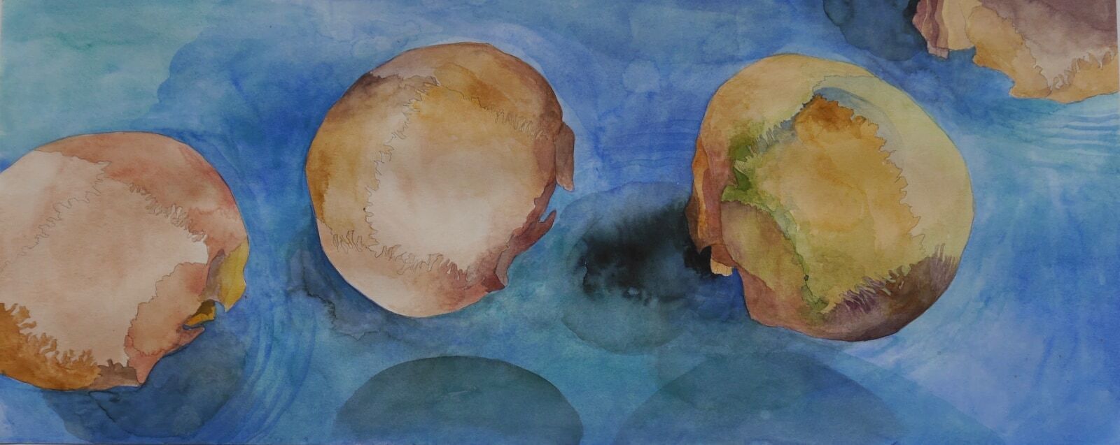 Schädelstudie 2 Lavierte Zeichnung202224x59cm