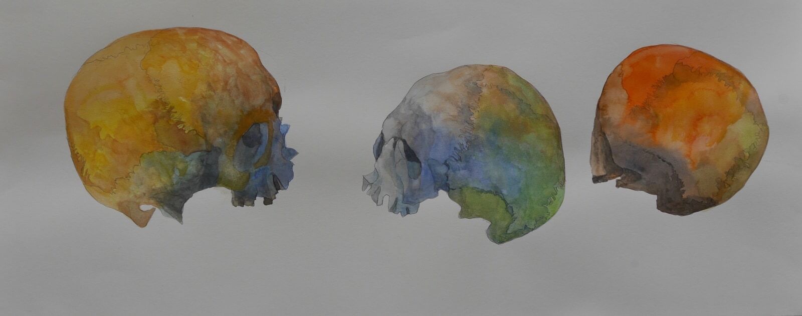 Schädelstudie1 Lavierte Zeichnung202224x595cm
