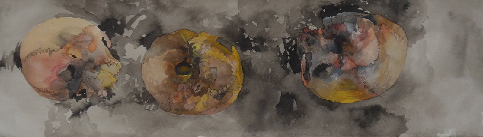 Schädelstudie3 Lavierte zeichnung202222x75cm