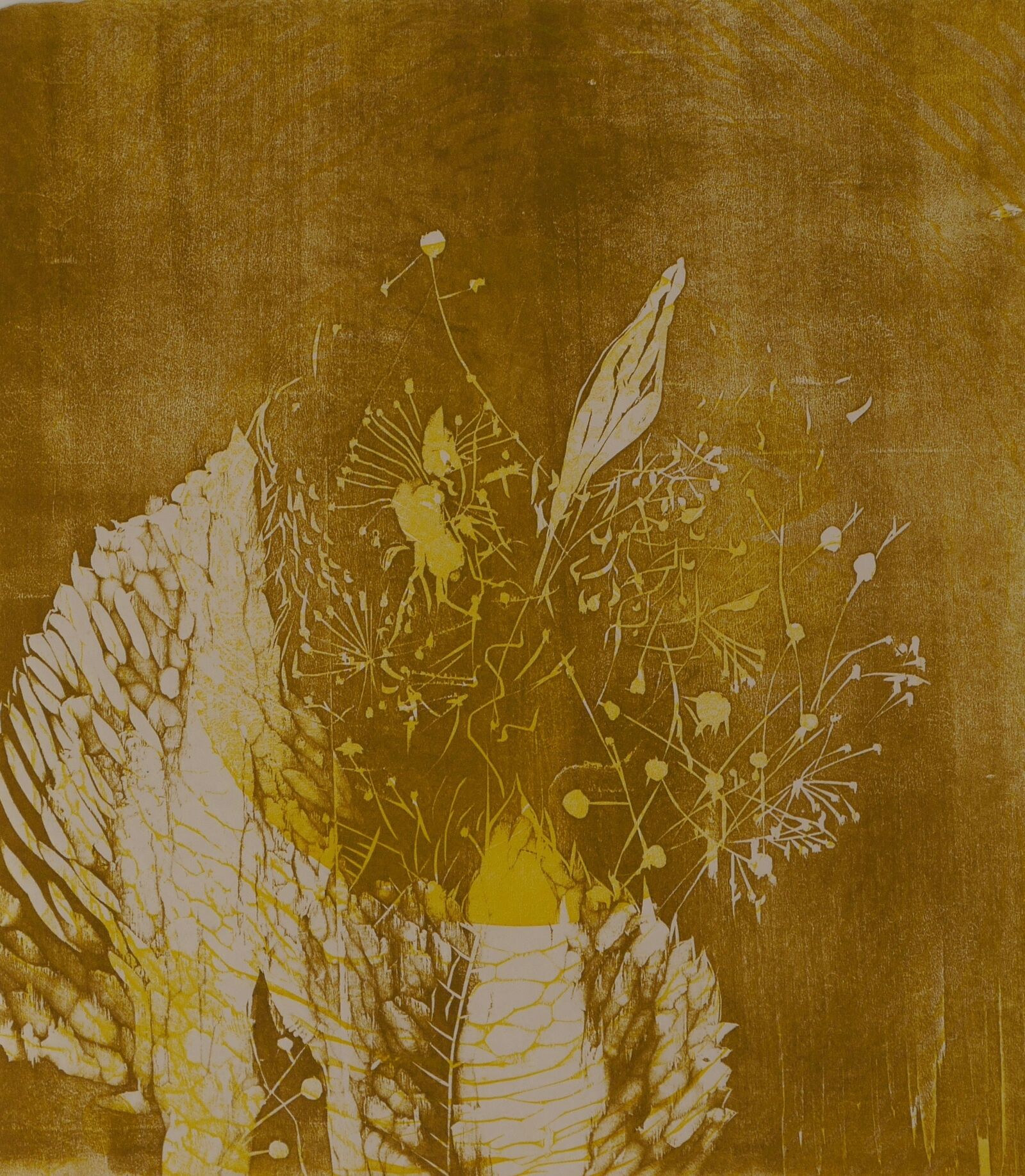 Blueten-und-Fruchtserie-1