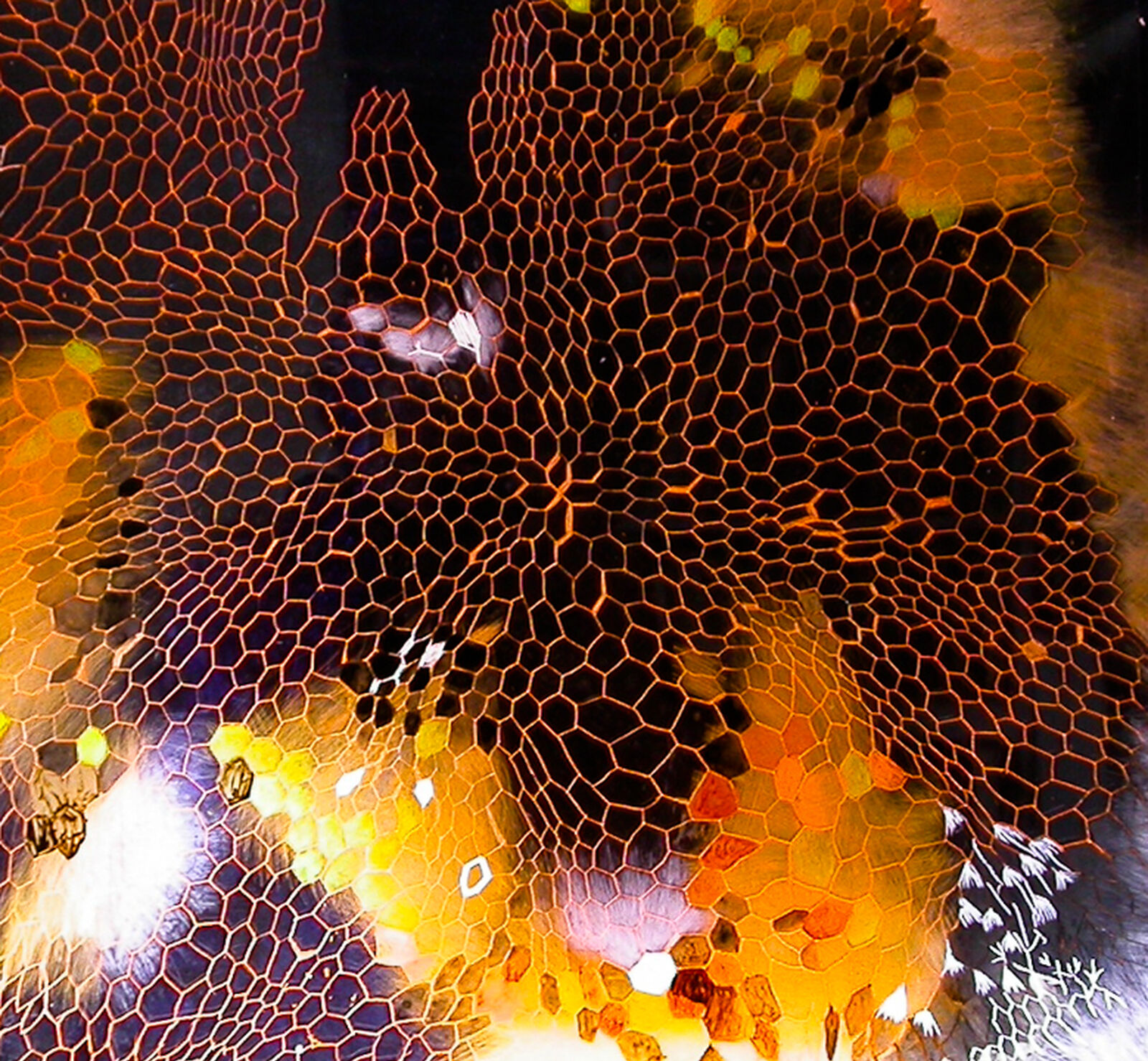 Acrylglas geritzt und bemalt/30x30cm/LED verkauft